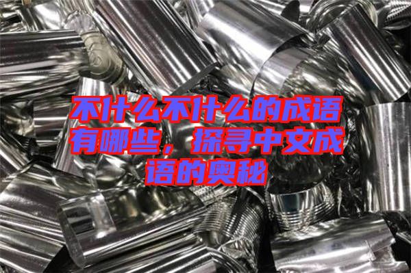 不什么不什么的成語(yǔ)有哪些，探尋中文成語(yǔ)的奧秘