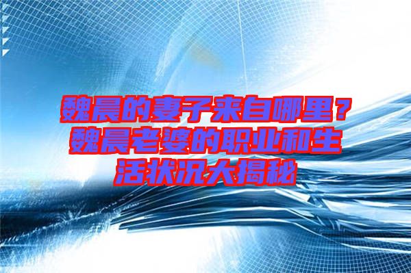 魏晨的妻子來自哪里？魏晨老婆的職業(yè)和生活狀況大揭秘