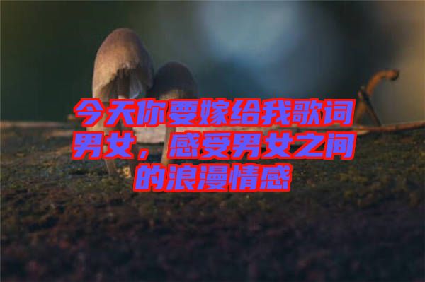 今天你要嫁給我歌詞男女，感受男女之間的浪漫情感