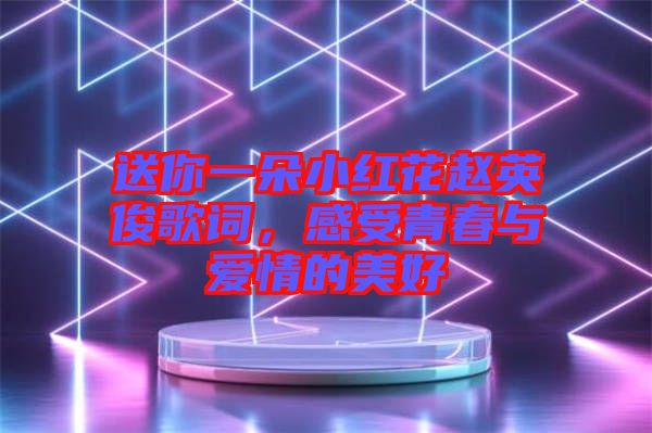 送你一朵小紅花趙英俊歌詞，感受青春與愛情的美好
