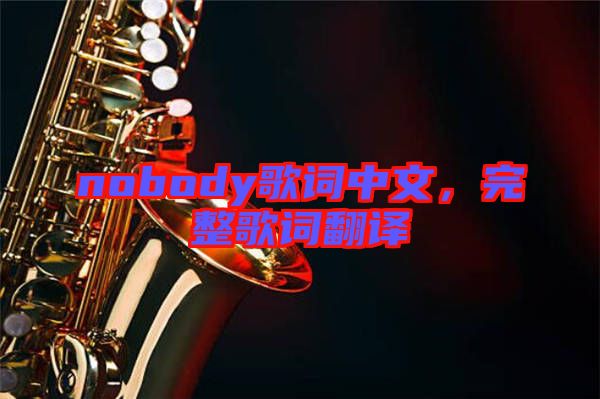 nobody歌詞中文，完整歌詞翻譯