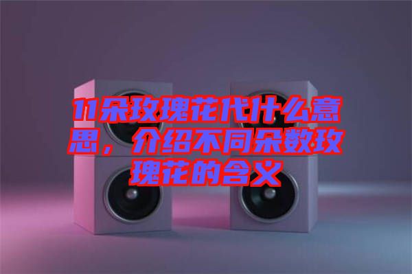 11朵玫瑰花代什么意思，介紹不同朵數(shù)玫瑰花的含義