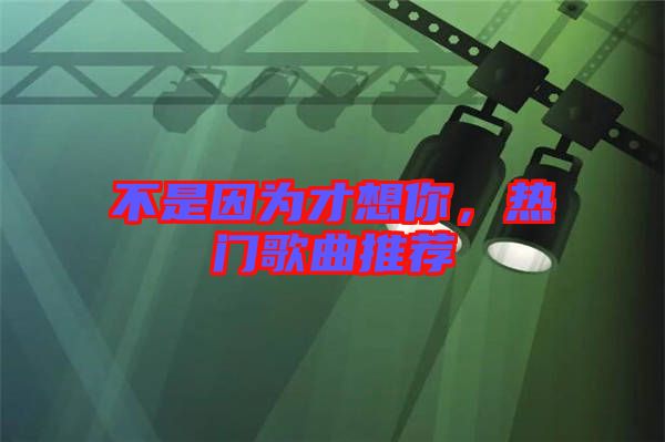 不是因?yàn)椴畔肽?，熱門歌曲推薦