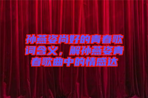 孫燕姿尚好的青春歌詞含義，解孫燕姿青春歌曲中的情感達(dá)