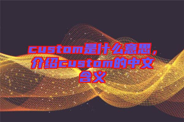 custom是什么意思，介紹custom的中文含義