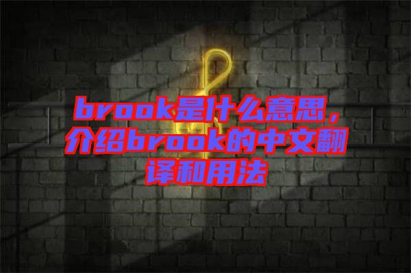 brook是什么意思，介紹brook的中文翻譯和用法