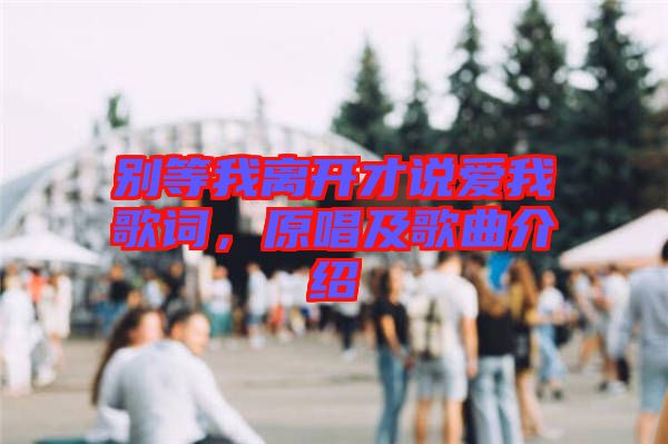 別等我離開才說愛我歌詞，原唱及歌曲介紹