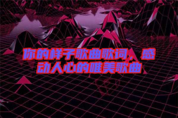 你的樣子歌曲歌詞，感動(dòng)人心的唯美歌曲