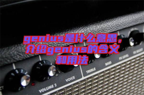 genius是什么意思，介紹genius的含義和用法
