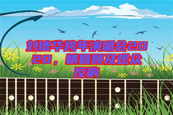 劉德華跨年演唱會(huì)2020，精回顧及觀眾反響