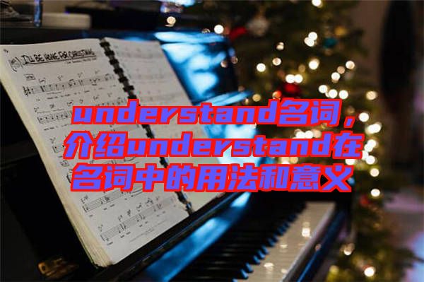 understand名詞，介紹understand在名詞中的用法和意義