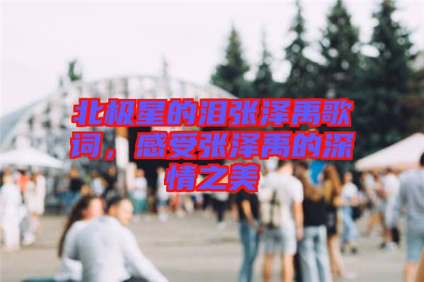 北極星的淚張澤禹歌詞，感受張澤禹的深情之美
