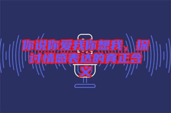 你說(shuō)你愛我你想我，探討情感表達(dá)的真正含義