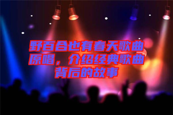 野百合也有春天歌曲原唱，介紹經(jīng)典歌曲背后的故事