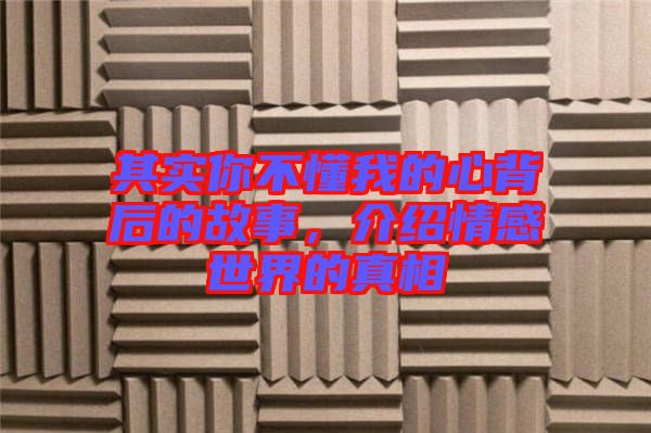 其實你不懂我的心背后的故事，介紹情感世界的真相