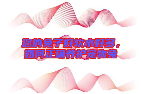 您的兔子好軟水好多，如何正確養(yǎng)護(hù)寵物兔