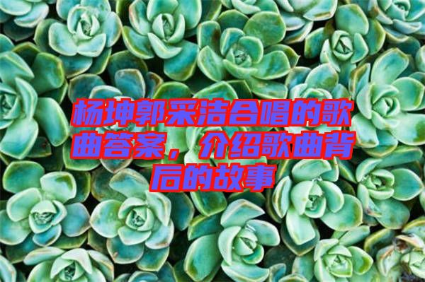 楊坤郭采潔合唱的歌曲答案，介紹歌曲背后的故事