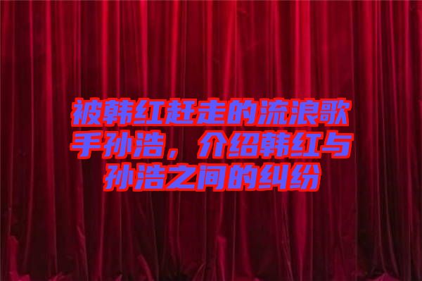 被韓紅趕走的流浪歌手孫浩，介紹韓紅與孫浩之間的糾紛
