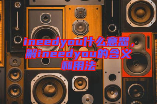 ineedyou什么意思，解ineedyou的含義和用法