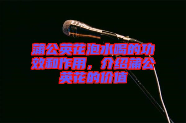 蒲公英花泡水喝的功效和作用，介紹蒲公英花的價值