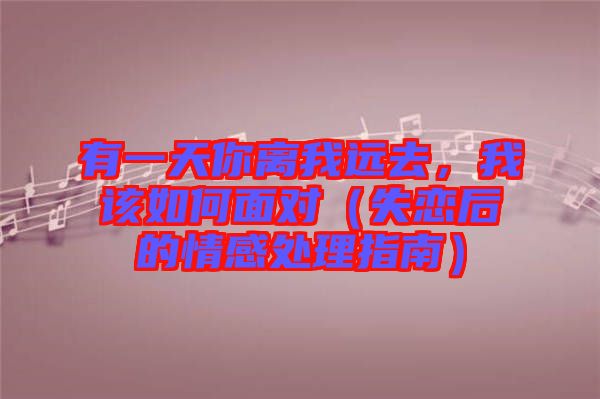 有一天你離我遠(yuǎn)去，我該如何面對（失戀后的情感處理指南）