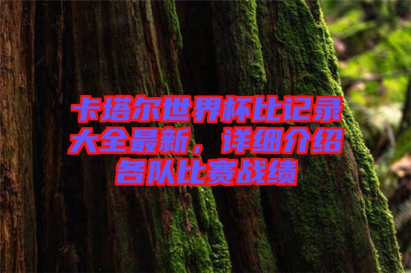 卡塔爾世界杯比記錄大全最新，詳細介紹各隊比賽戰(zhàn)績
