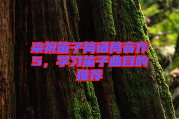 梁祝笛子簡譜筒音作5，學習笛子曲目的推薦
