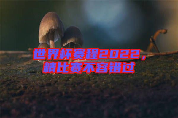 世界杯賽程2022，精比賽不容錯(cuò)過(guò)