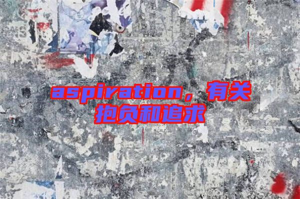 aspiration，有關(guān)抱負和追求