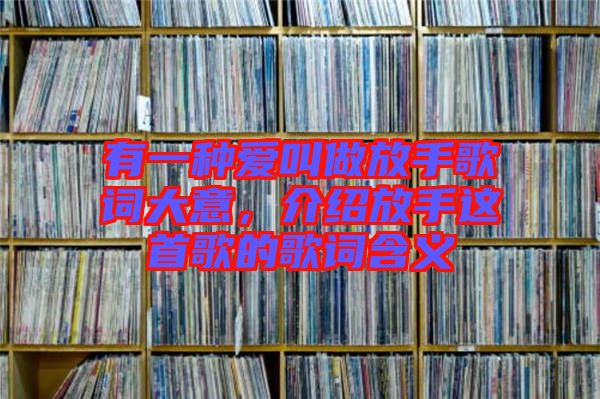 有一種愛(ài)叫做放手歌詞大意，介紹放手這首歌的歌詞含義