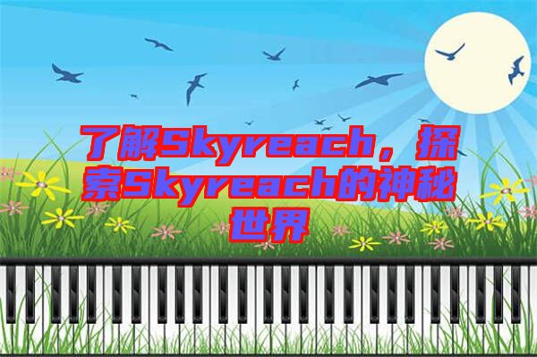 了解Skyreach，探索Skyreach的神秘世界