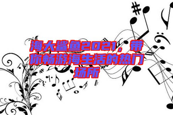 海大鯊魚2021，帶你暢游海生活的熱門場(chǎng)所