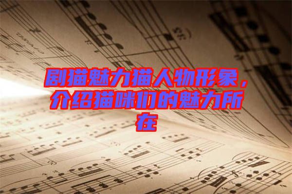 劇貓魅力貓人物形象，介紹貓咪們的魅力所在