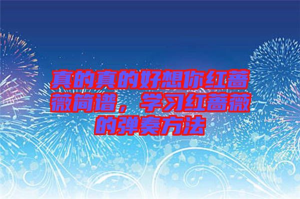 真的真的好想你紅薔薇簡譜，學(xué)習(xí)紅薔薇的彈奏方法