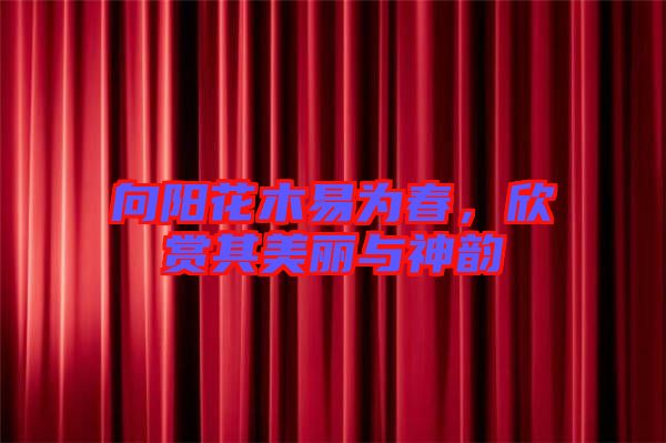 向陽花木易為春，欣賞其美麗與神韻