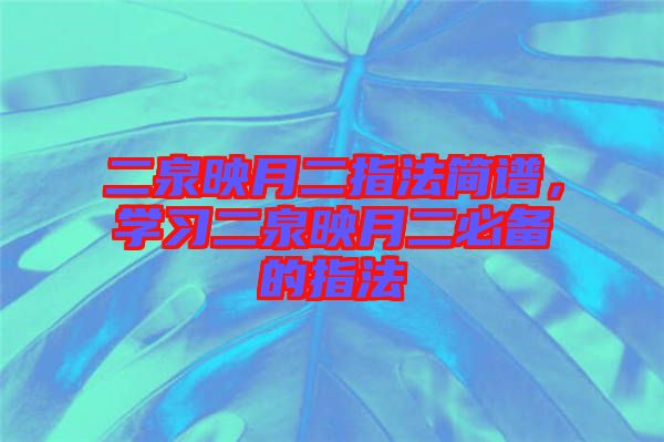 二泉映月二指法簡譜，學習二泉映月二必備的指法