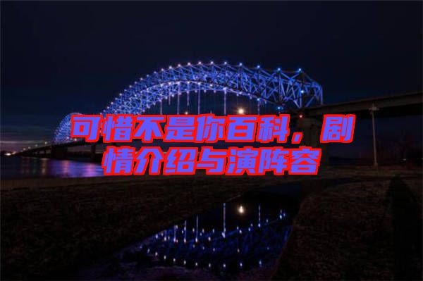 可惜不是你百科，劇情介紹與演陣容