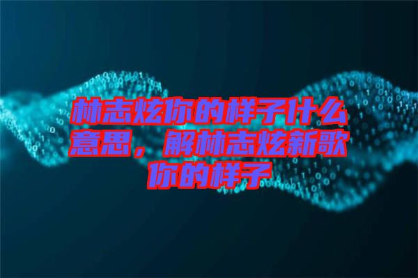 林志炫你的樣子什么意思，解林志炫新歌你的樣子