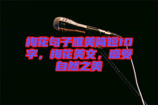 梅花句子唯美簡短10字，梅花美文，感受自然之美