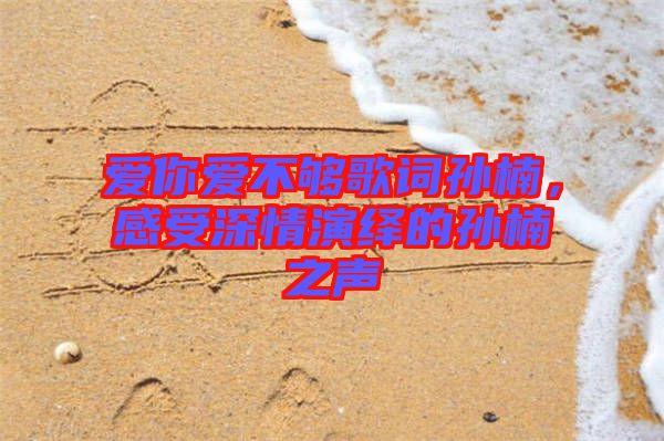 愛(ài)你愛(ài)不夠歌詞孫楠，感受深情演繹的孫楠之聲