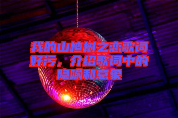 我的山楂樹之戀歌詞好污，介紹歌詞中的隱喻和意象