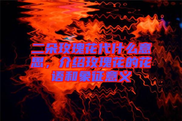 二朵玫瑰花代什么意思，介紹玫瑰花的花語(yǔ)和象征意義