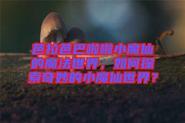 芭拉芭巴啦啦小魔仙的魔法世界，如何探索奇妙的小魔仙世界？