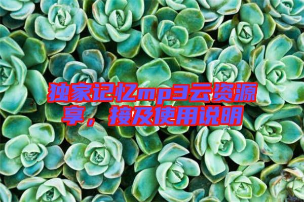 獨(dú)家記憶mp3云資源享，接及使用說(shuō)明