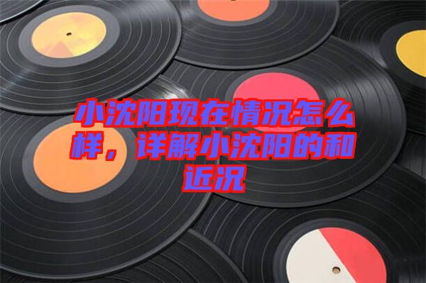 小沈陽現(xiàn)在情況怎么樣，詳解小沈陽的和近況