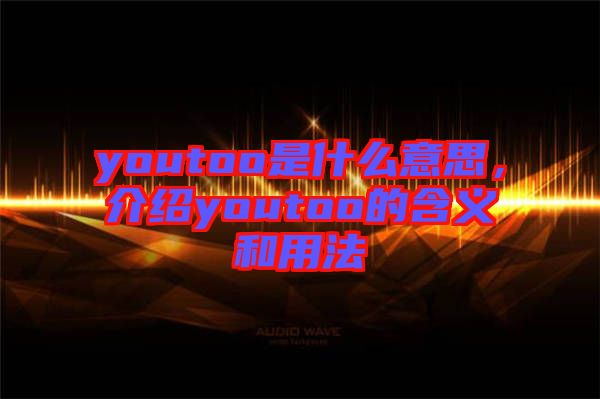 youtoo是什么意思，介紹youtoo的含義和用法