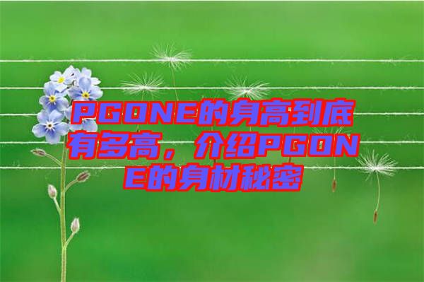 PGONE的身高到底有多高，介紹PGONE的身材秘密