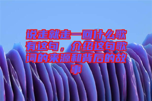 說走就走一回什么歌有這句，介紹這句歌詞的來源和背后的故事