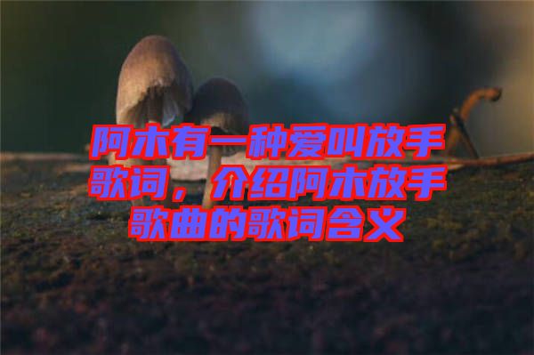 阿木有一種愛叫放手歌詞，介紹阿木放手歌曲的歌詞含義