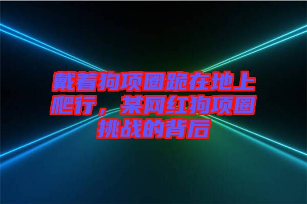 戴著狗項圈跪在地上爬行，某網紅狗項圈挑戰(zhàn)的背后